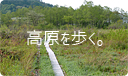 高原を歩くタブ