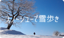 スノーシュータブ