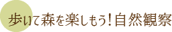 自然観察タイトル 