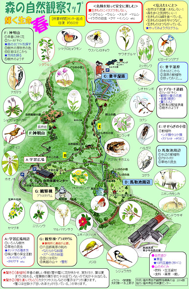 森の自然観察マップ春編