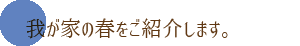 我が家の春