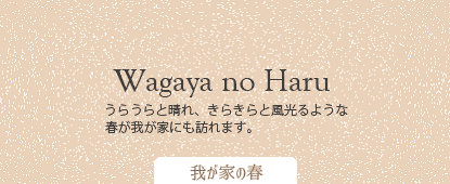我が家の春
