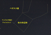 秋の四角形