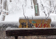 野鳥レストラン