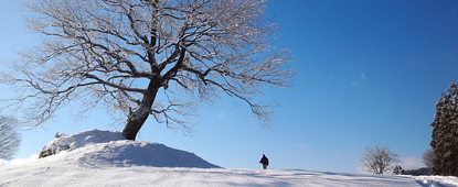 雪歩き