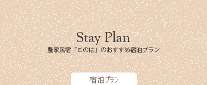 宿泊プラン